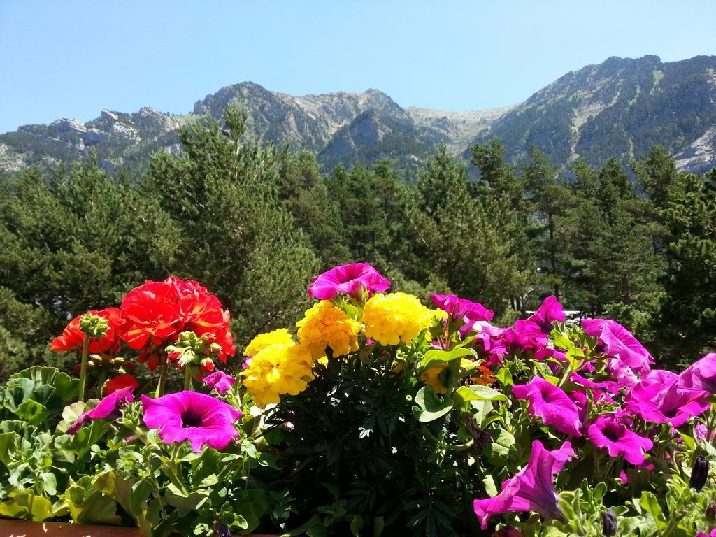 Hotel Villa De Канфранк Екстер'єр фото